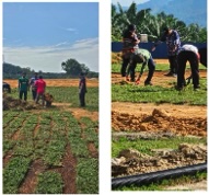 Community Involvement 6
