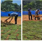 Community Involvement 3