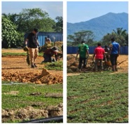 Community Involvement 7