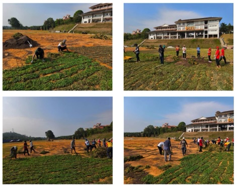 Community Planting