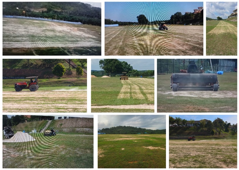 Top Dressing